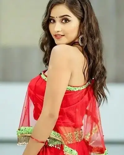 Escort In Nirmal